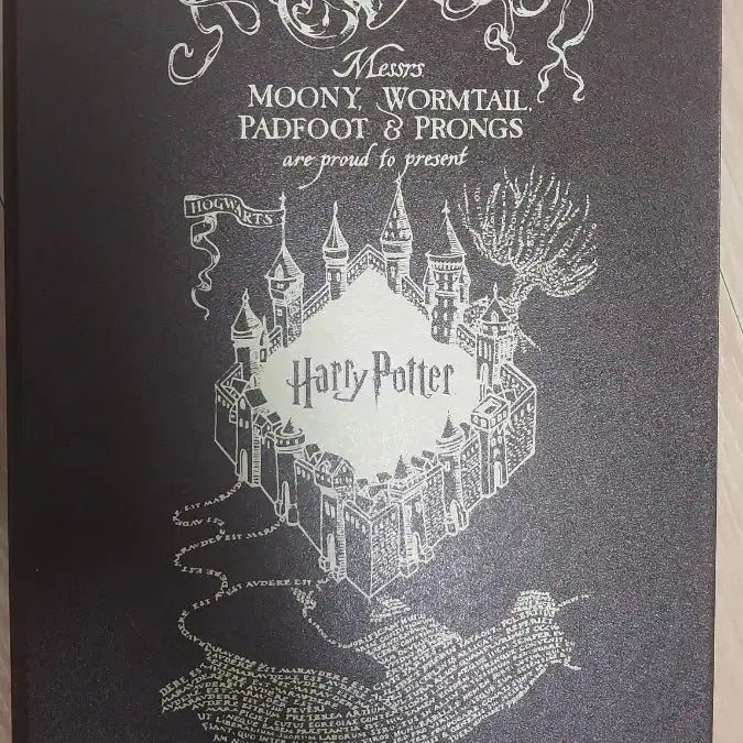 [BUNJANG] Harry Potter Collaboration Diary, Quill, and Memo Pad Set / 할리스 해리포터 콜라보 (메모지 깃펜 다이어리 구성품 모두 포함)