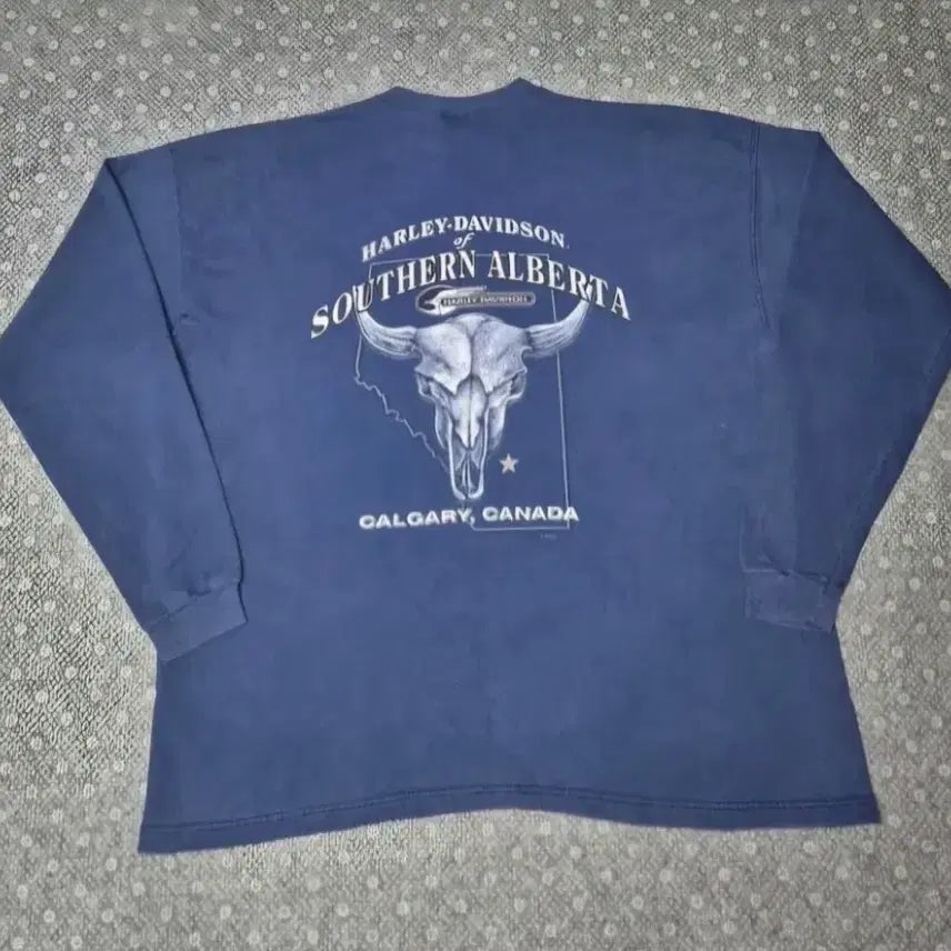 [BUNJANG] 90s Vintage Harley-Davidson USA Made Long Sleeve XL / [XL]90s USA Made 빈티지 할리데이비슨 롱슬리브 미제