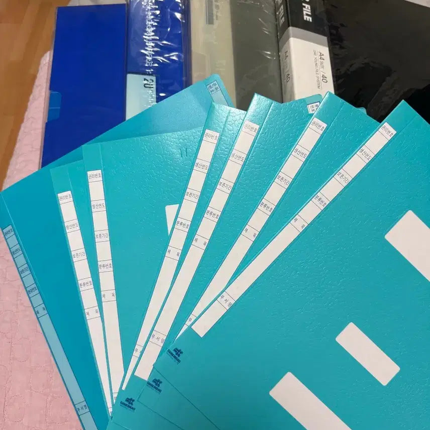 [BUNJANG] Clear File Binder - 40 Sheet Capacity / 클리어 화일철 판매합니다