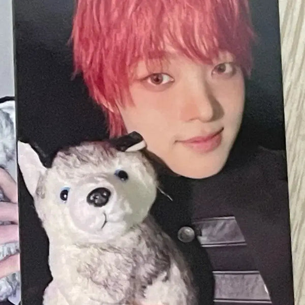 [BUNJANG] &team andteam E-jojun Concert Tour Photocard / 앤팀 콘서트 투어 포카  &team andteam 의주 ej 루네존