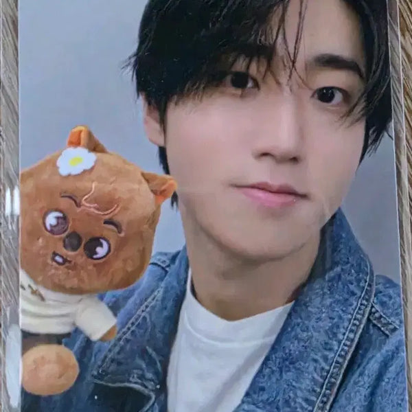 [BUNJANG] Stray Kids Han Zoootopia POB Photocard / 스트레이키즈 한 주토피아 특전포카