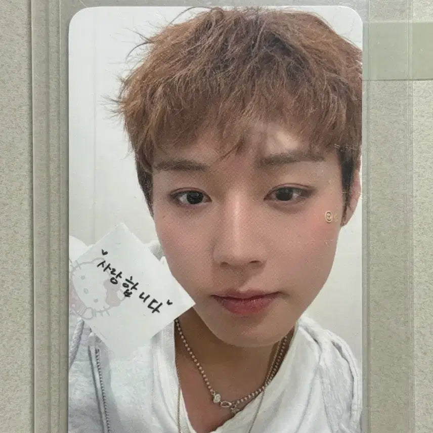 [BUNJANG] Park Ji Hoon Fancon MD Photocard / 박지훈 팬콘 MD 포카