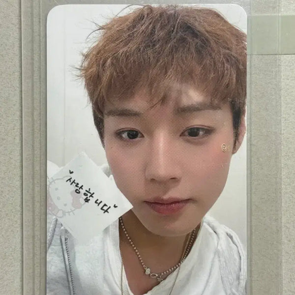 [BUNJANG] Park Ji Hoon Fancon MD Photocard / 박지훈 팬콘 MD 포카