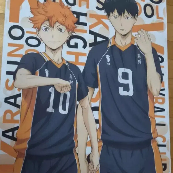 [BUNJANG] Haikyuu!! Hinata & Kageyama Illustrated Wall Poster / 하이큐 히나타&카게야마 일러스트 벽걸이 포스터(브로마이드)