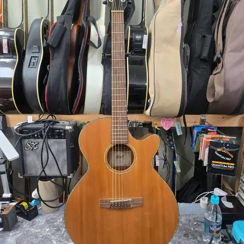 [BUNJANG] Cort SFX-E NS Acoustic-Electric Guitar / 콜트 탑솔리드 기타 Cort SFX-E NS