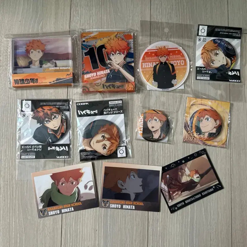 [BUNJANG] Haikyuu!! Shoyo Hinata Goods / 7월 마지막 할인가 하이큐 히나타 쇼요 굿즈