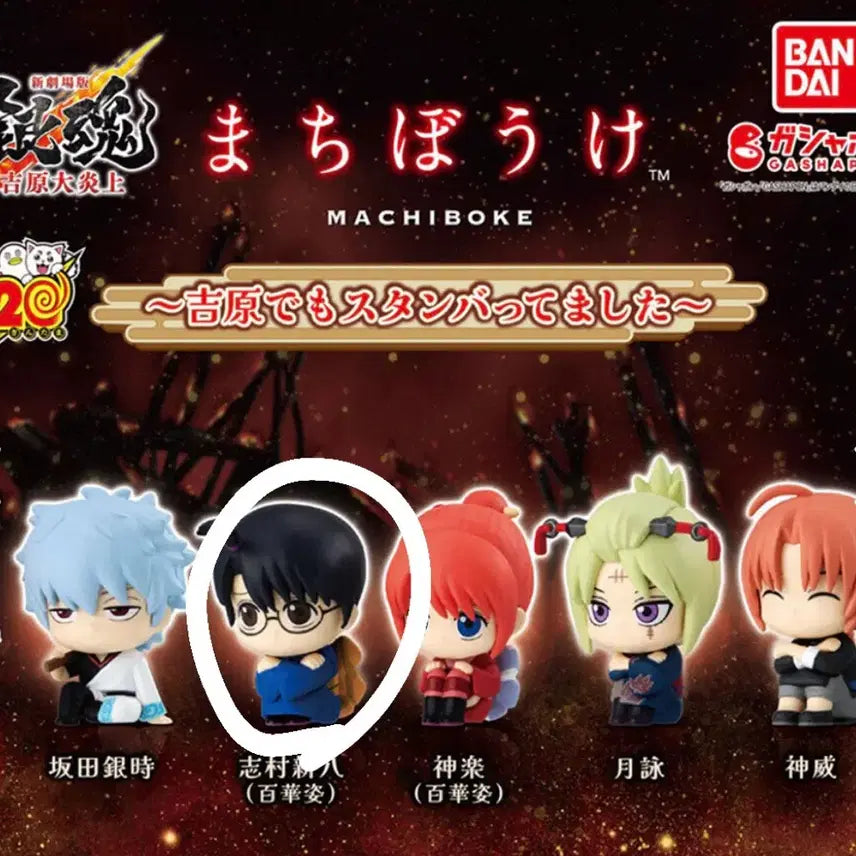 [BUNJANG] Gintama MacriBoke Shinpachi Gacha Figure / 은혼 마치보케 신파치 가챠