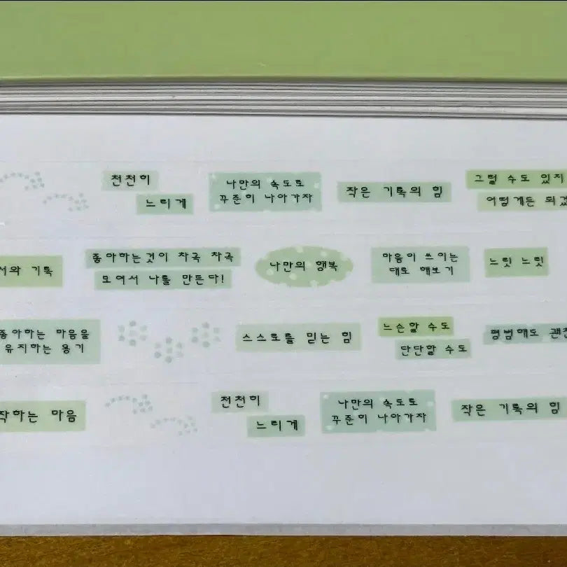 [BUNJANG] Lovesong Love Poppai Snail Washi Tape / 러브송러브뽀빠이 달팽이처럼 마테