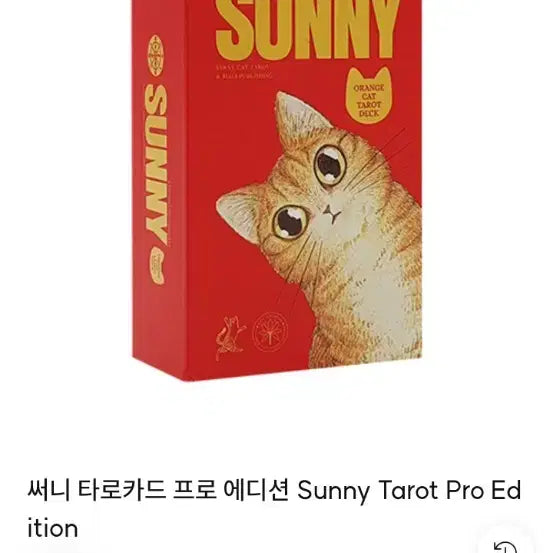 [BUNJANG] Original Tarot Deck - Cat Design / 타로카드 (정품