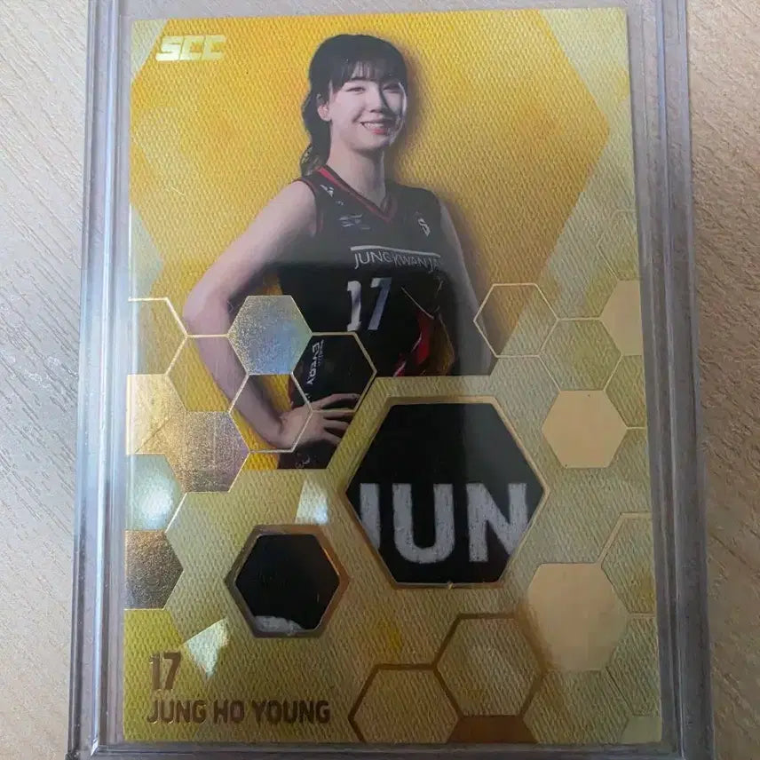 [BUNJANG] SCC KOVO Jung Hoyoung CheongKwanJang JUN Relic Card / SCC KOVO 정호영 정관장 JUN 렐릭카드
