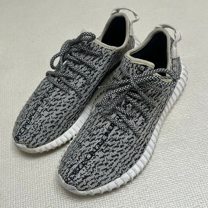 [BUNJANG] Adidas Yeezy Boost 350 Turtle Dove - Size 260 / 이지350 터틀도브 260사이즈