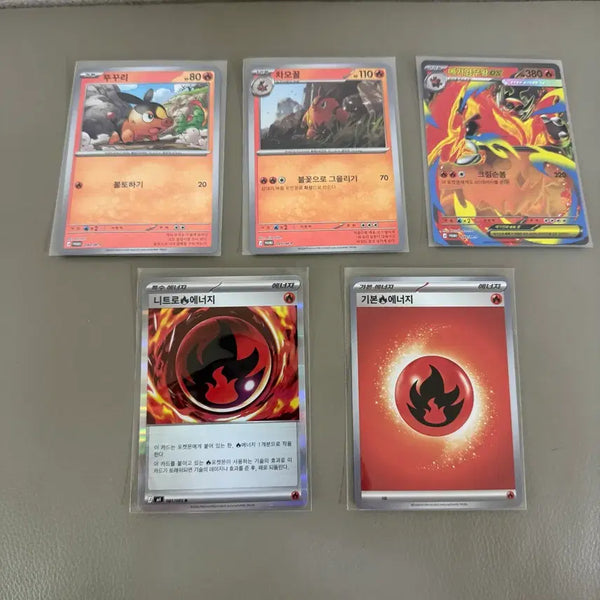 [BUNJANG] Pokemon Card Torkoal Promo Card EX Set / 포켓몬카드 뚜꾸리 프로모카드 ex 세트