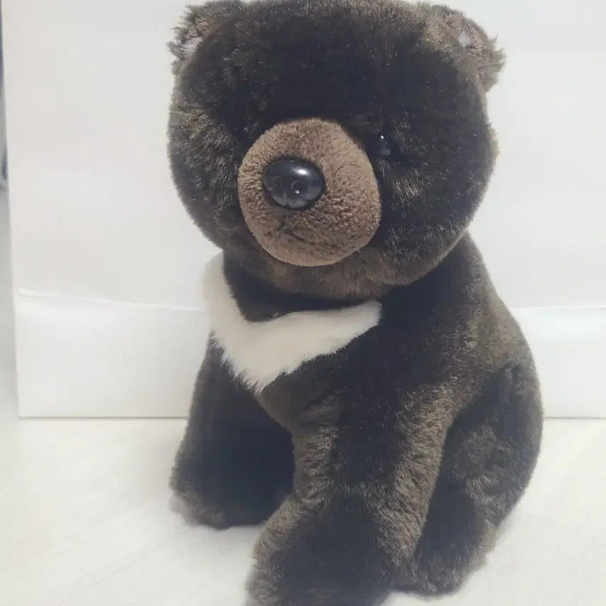 [BUNJANG] Teddy Bear Museum Moon Bear Plush / 테디베어 뮤지엄 반달가슴곰 인형