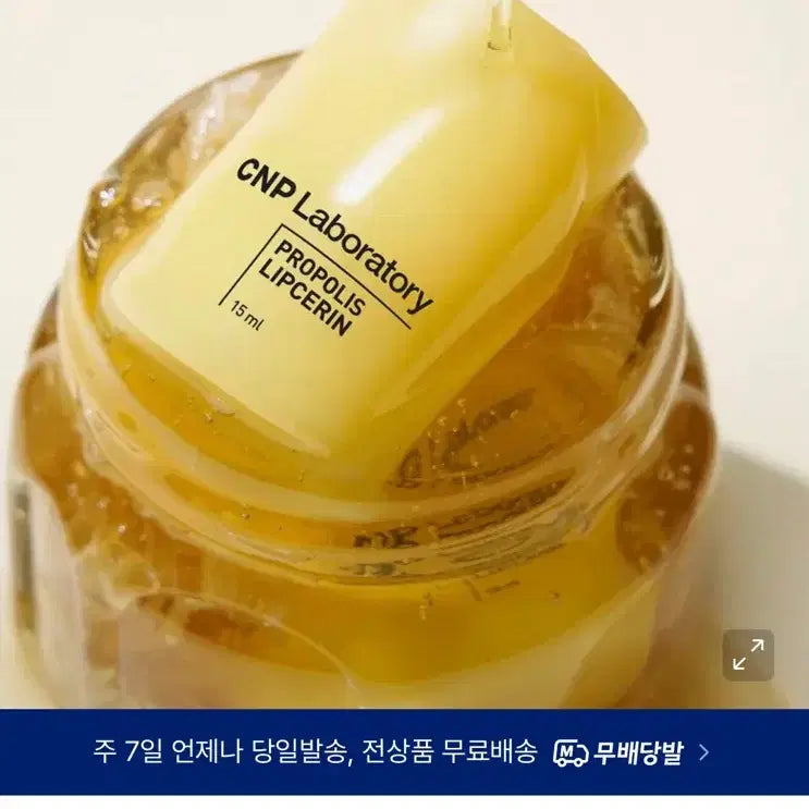 [BUNJANG] CNP Propolis Lip Serin 15ml / CNP 프로폴리스 립세린 15ml <새상품>