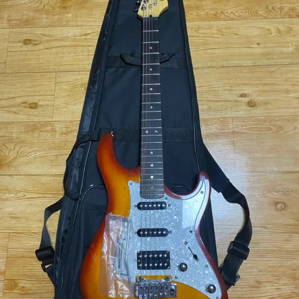 [BUNJANG] Colt G250 Electric Guitar Package / 입문용 콜트 일렉기타+ 콜트가방