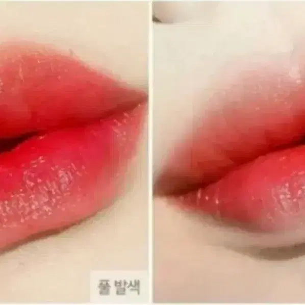 [BUNJANG] Etude Dear Darling Water Gel Tint RD307 Watermelon Red / 에뛰드 디어 달링 워터젤 틴트 307 수박레드