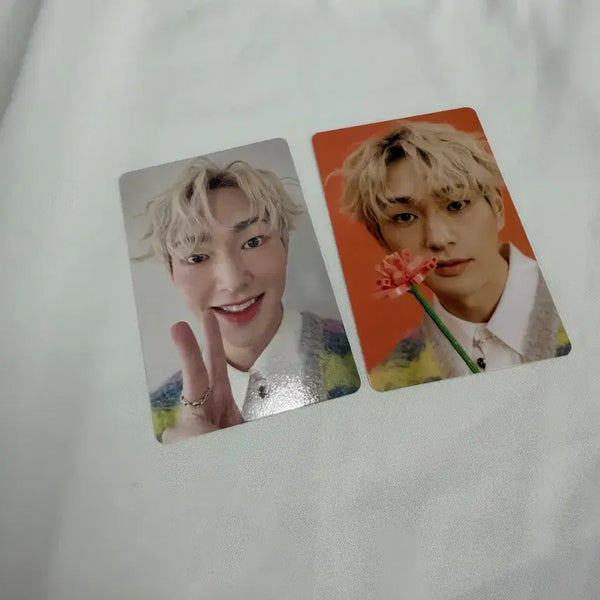 [BUNJANG] SHINee Onew Season's Greetings Photocard Bundle Set / 샤이니 온유 시즌그리팅포카 일괄