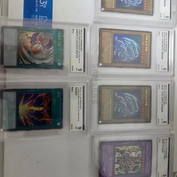 [BUNJANG] Yu-Gi-Oh! Blue-Eyes White Dragon SDK BRG 7 Graded Card / [BRG 7] 유희왕 푸른 눈의 백룡 SDK 판매합니다
