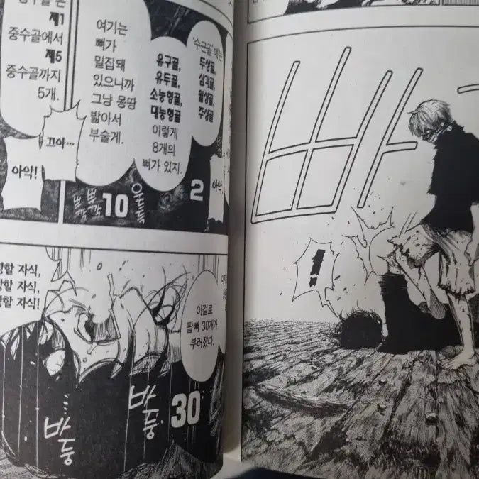 [BUNJANG] Tokyo Ghoul Vol. 8, Re: Volume 1, Re: Volume 6 Manga Set / 도쿄구울 만화책 8권 500원