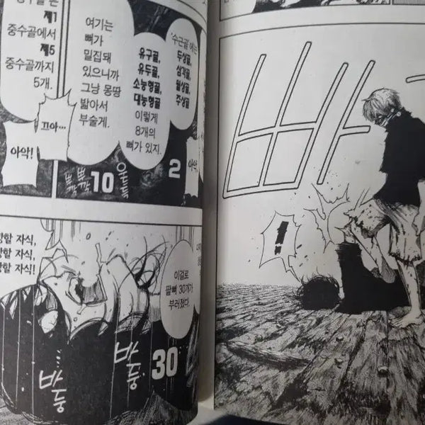 [BUNJANG] Tokyo Ghoul Vol. 8, Re: Volume 1, Re: Volume 6 Manga Set / 도쿄구울 만화책 8권 500원