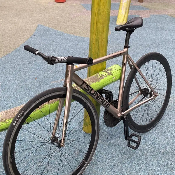 [BUNJANG] Tsunami Silver Track Bike Frame Set - Size M / 쓰나미 실버 급처