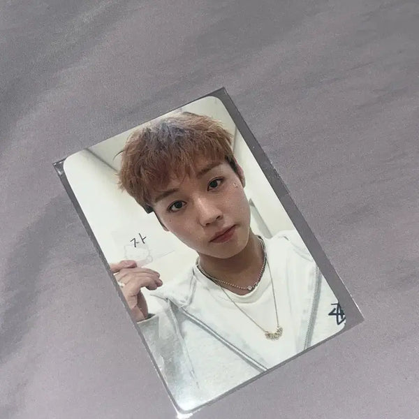 [BUNJANG] Park Jihoon Fancon MD Photocard / 박지훈 팬콘 MD 포카