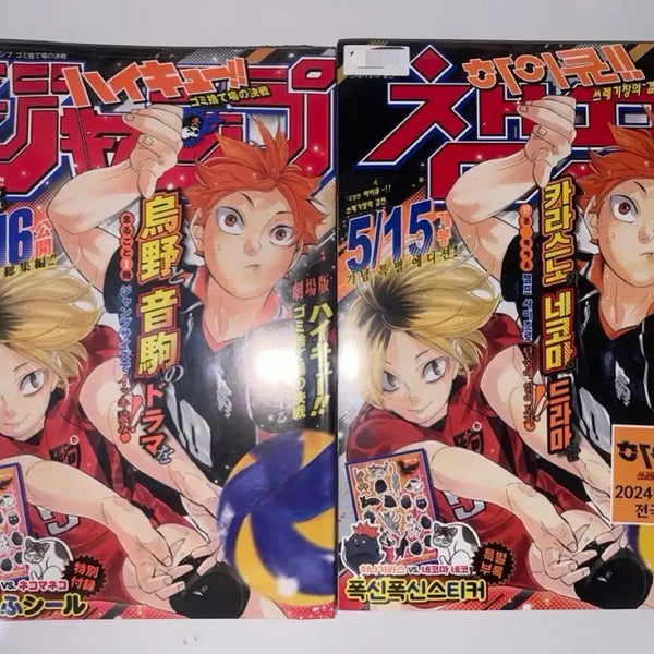 [BUNJANG] Haikyu!! Jump Champ "The Battle of the Garbage Dump" Magazine / 하이큐!! 점프 챔프 쓰레기장의 결전 잡지