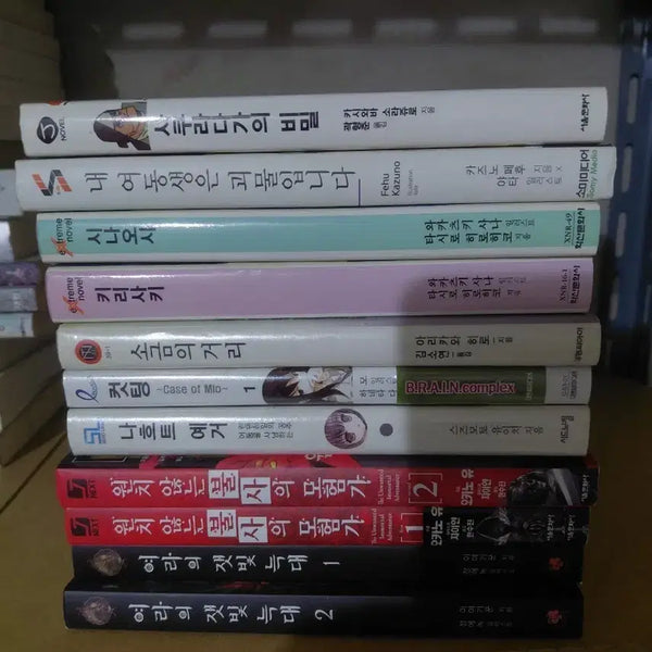 [BUNJANG] Collection of Short Novels / 단편 라노벨들