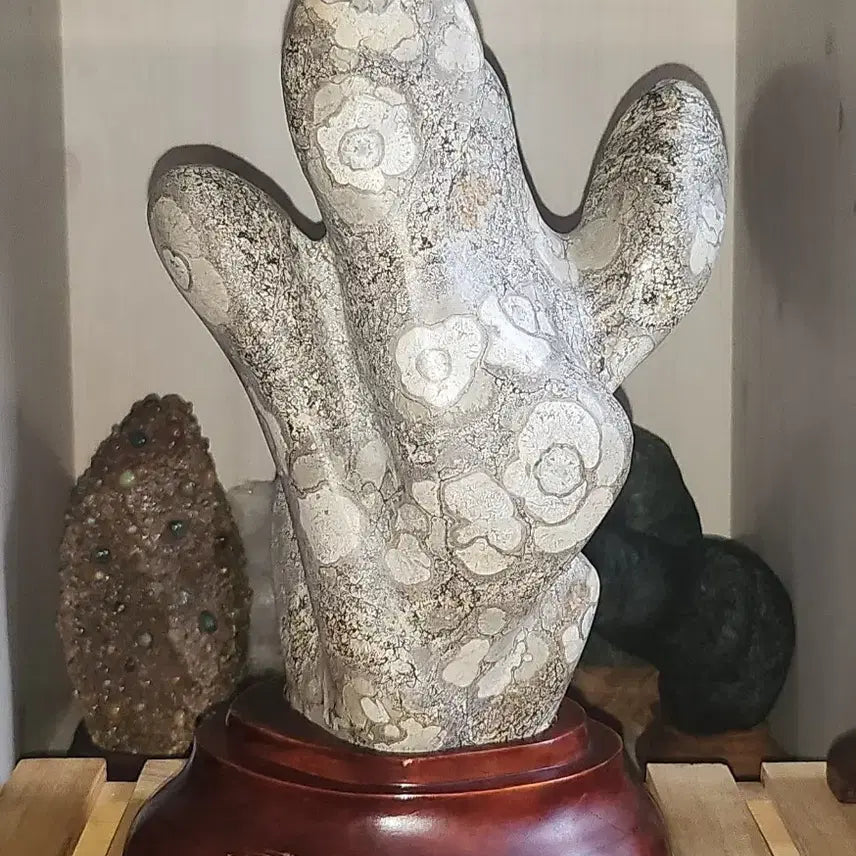 [BUNJANG] Camellia Pattern Cheongsong Flower Stone (Suseok) / 동백문양 청송꽃돌 수석