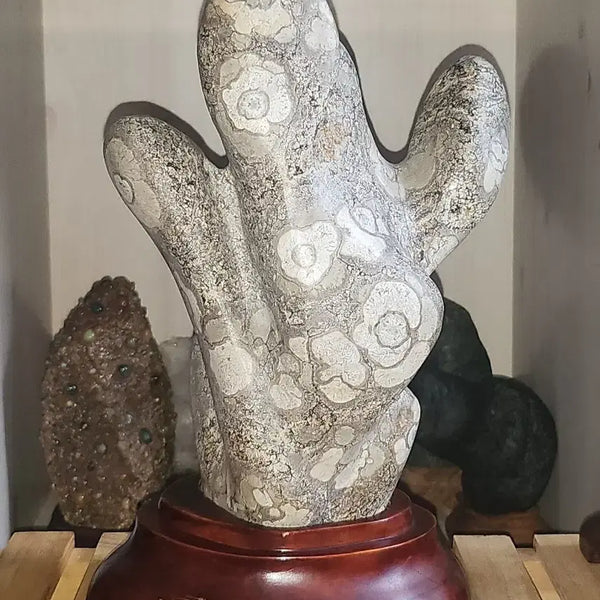 [BUNJANG] Camellia Pattern Cheongsong Flower Stone (Suseok) / 동백문양 청송꽃돌 수석