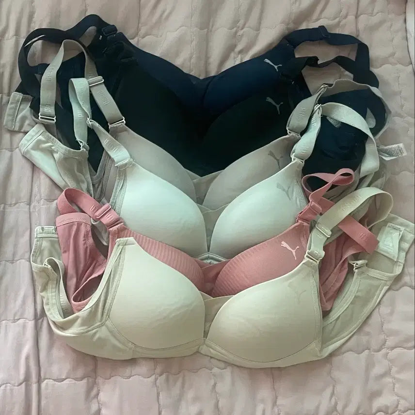 [BUNJANG] Puma Bra + Panty Set (6 pcs) / 무료배송 푸마 puma 싸게 처분 브라 + 팬티 세트 6종