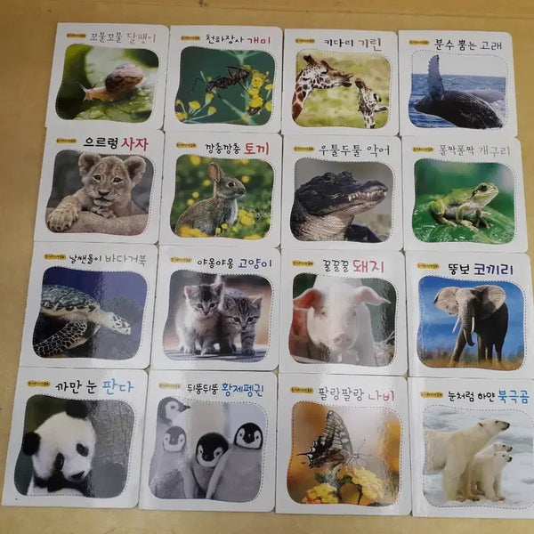 [BUNJANG] Paran Songari Nature Fairytale Board Book Set (16 Volumes) / Paran 송아리 자연동화 (보드북)