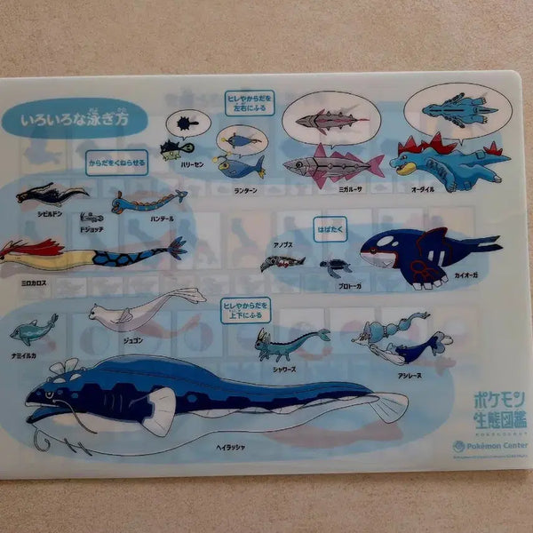 [BUNJANG] Pokemon Ecosystem Encyclopedia File / 포켓몬스터 생태도감 파일