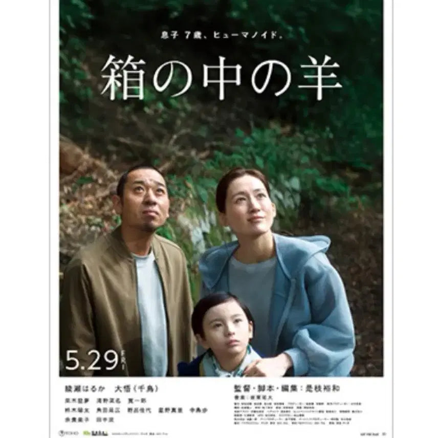 [BUNJANG] Box of Sheep Original Main Poster / [상자속의 양] 오리지널 메인 포스터