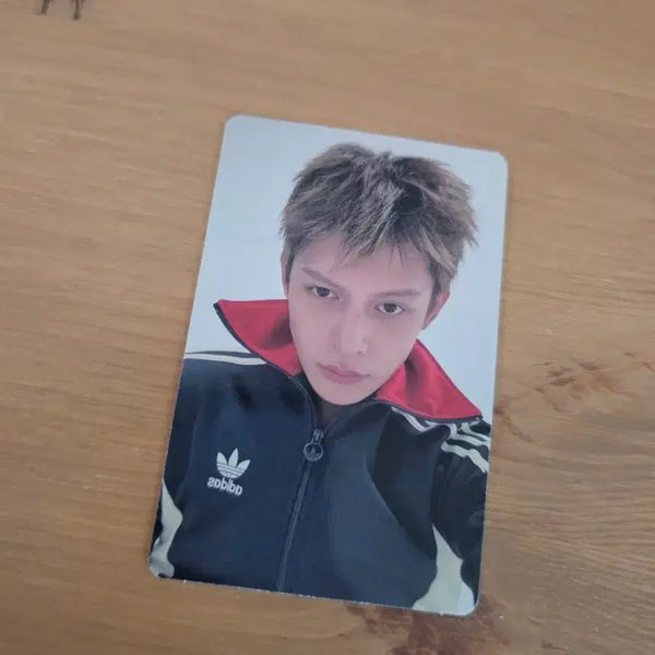 [BUNJANG] Courtis TNT James Alfo Album Photocard / 코르티스 tnt 그린그린 제임스 앨포 앨범 포카 레드레드