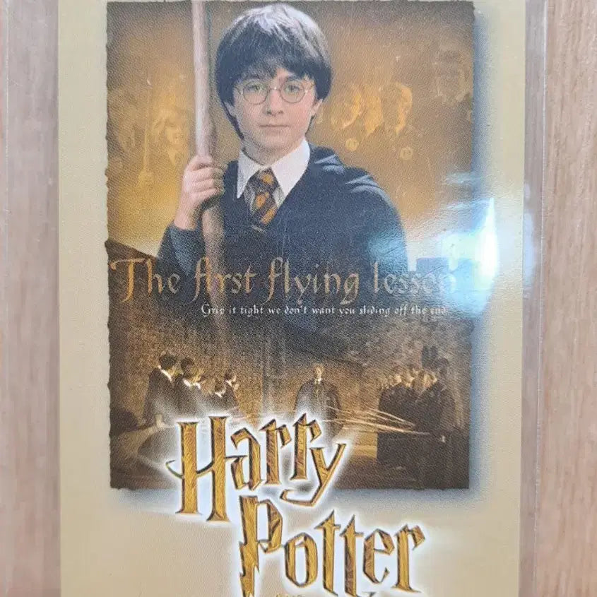 [BUNJANG] Rare Harry Potter Terica Card (2001) / 고전 희귀 해리포터 카드 테레카 팝니다.