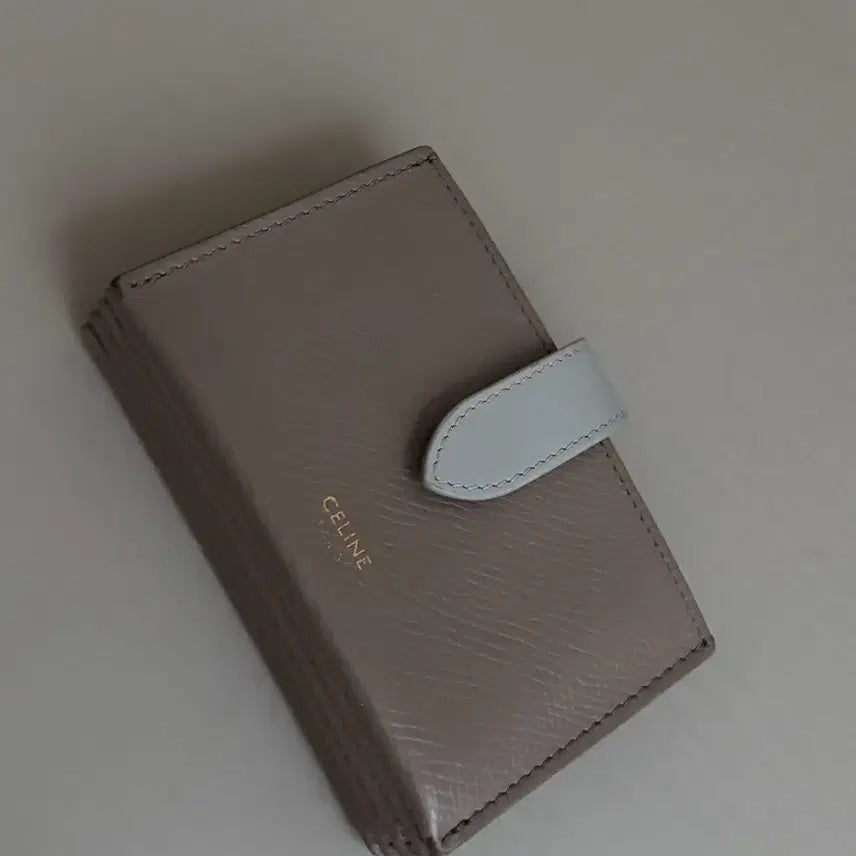 [BUNJANG] Celine Accordion Wallet Grey Mint / 셀린느 아코디언 지갑