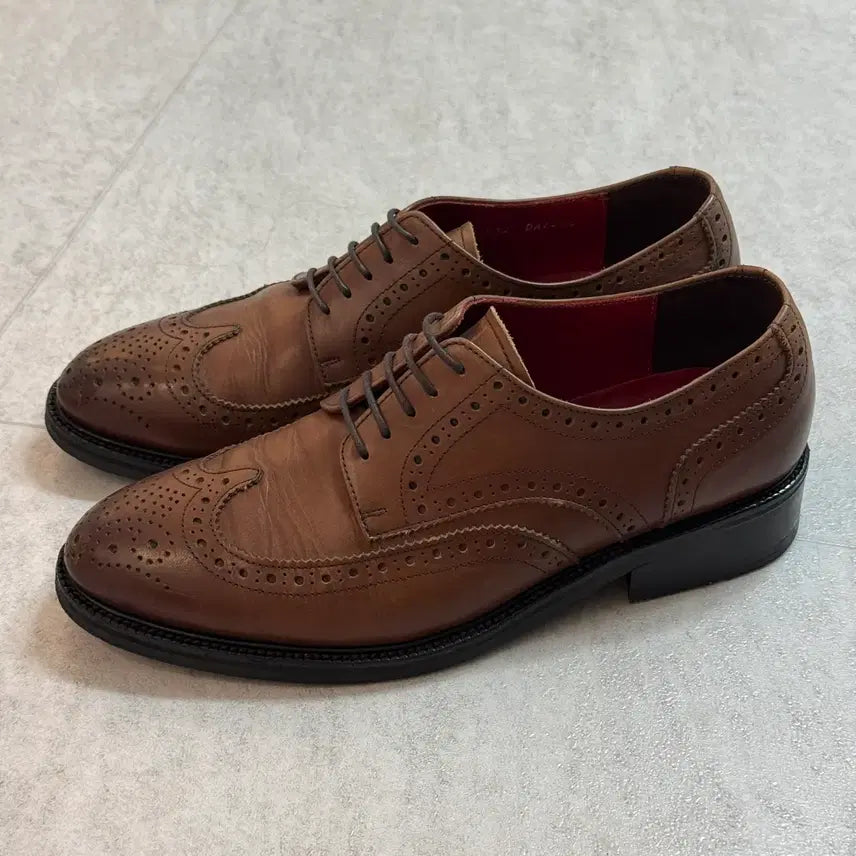 [BUNJANG] Wellshod Calfskin Wingtip Oxford Shoes Size 260 / 수제화 웰쇼드 송아지가죽 윙팁 옥스포드 260