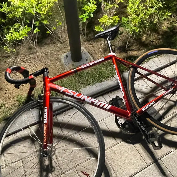 [BUNJANG] Tsunami SNM100 Frame & Fork Set with Upgrades / 쓰나미 판/대
