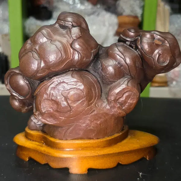 [BUNJANG] Libyan Desert Glass Petrified Wood / 리비아응축규화목