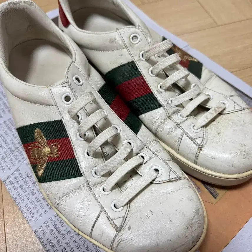[BUNJANG] Gucci Bee Embroidered Sneakers / 구찌 꿀벌 스니커즈