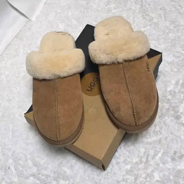 [BUNJANG] UGG Chestnut Slippers / UGG 어그 슬리퍼 체스넛