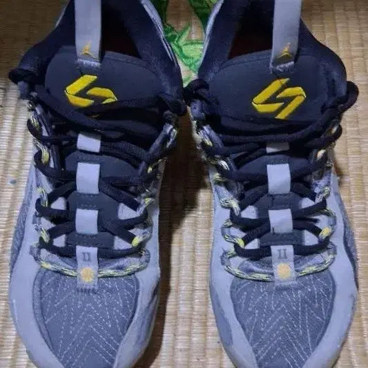 [BUNJANG] Jordan Luka 2 Cave PF / 조던 루카2 케이브 PF 20(255) 택비포함