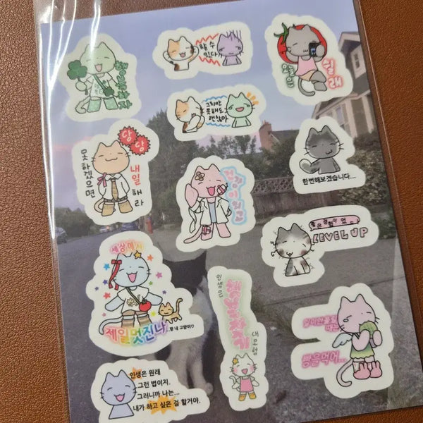 [BUNJANG] Arsen Sticker / 아르센 스티커