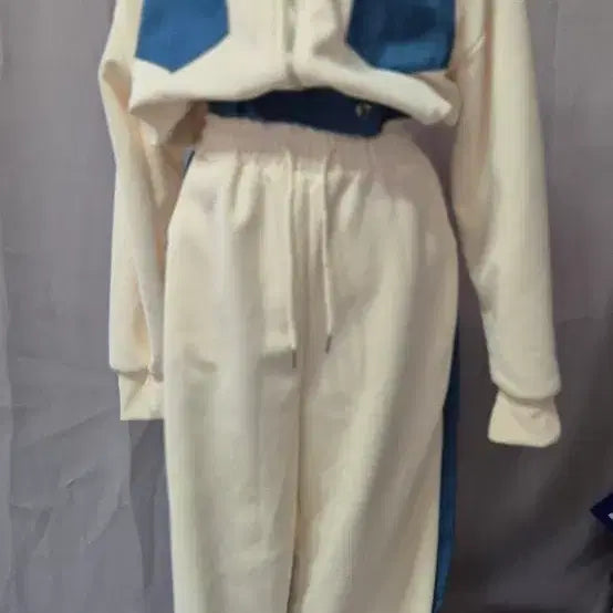 [BUNJANG] Cropped Hooded Sweatshirt and Jogger Pants Set / 세트 트레이닝복 크롭 후드티 조거팬츠