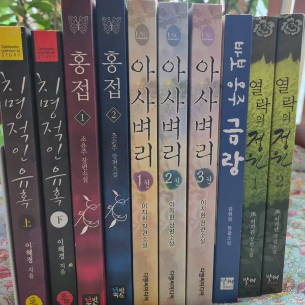 [BUNJANG] Asa Byeori & Other Historical Romance Novels Set / [무료배송] 시대물 2 로맨스소설 10권 SET 아사벼리 (이지환)