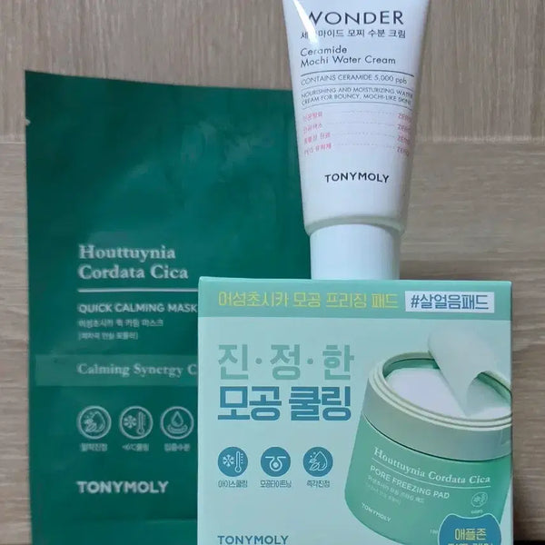 [BUNJANG] TONYMOLY Cica Pore Ice Pad / 토니모리 시카 모공 살얼음 패드