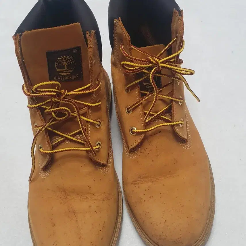 [BUNJANG] Timberland 6-Inch Premium Waterproof Boots / 팀버랜드 6인치 프리미엄 워터프루프 워커250