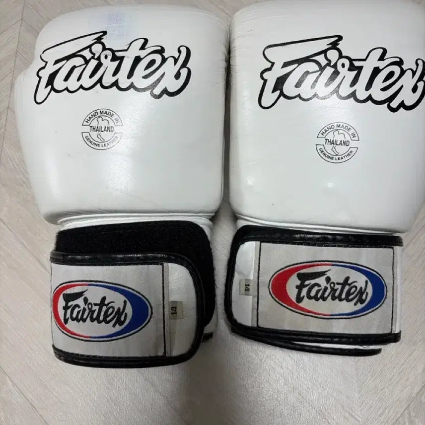 [BUNJANG] Fairtex Boxing Gloves 14oz / 페어택스 글러브