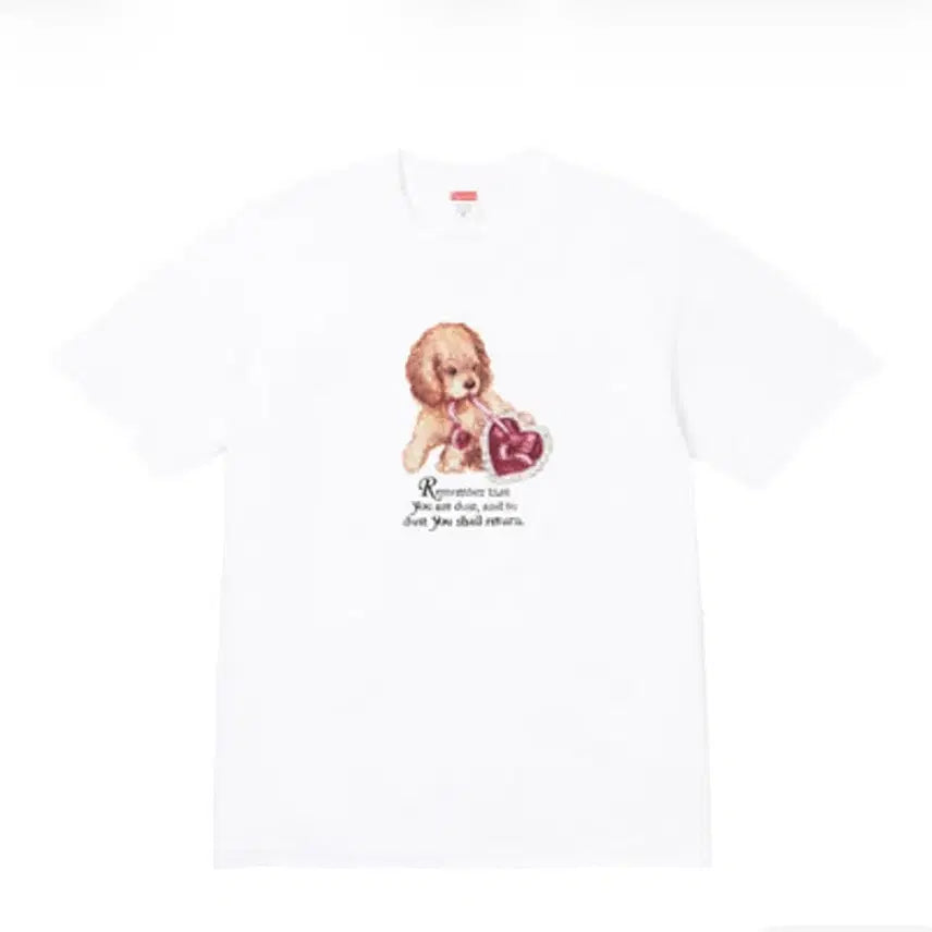 [BUNJANG] Supreme Dust T-Shirt White M / 슈프림 더스트 티셔츠 화이트 m